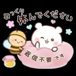 チロクマとアイビー　初夏