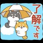 飛びだす！お返事シバイヌくん（雨の日）