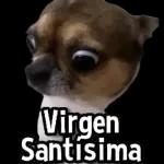 jjjjjj