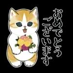 おめかしにゃん