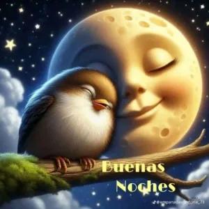 Buenas Noches @empanadasdegloria_79 - getsticker.com