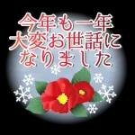 雅に彩る午年の大人年賀状 2026