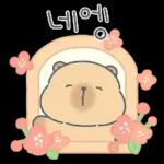 언제든좋아요