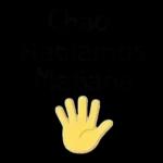 Meme Brasileiro 12091