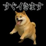 ガンギマリの柴犬＠エロ・日常会話