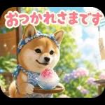 とびだす★夏 柴犬★わんこ♡犬
