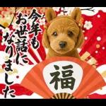 ウマの着ぐるみトイプードル【午年/2026】