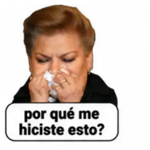 por qué me hiciste esto? - getsticker.com