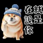 圓柴柴18:祝你有個可愛的一天❤️