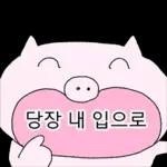 쩝쩝박사 꿀꾸리