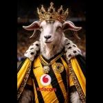 vodacom, KAIZER CHIEFS