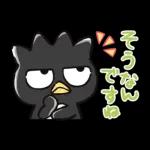 バッドバッツ丸毎日