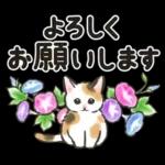 夏の毎日☆猫たちのスタンプ２