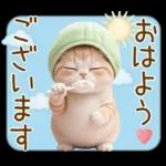 ずっと使える メロン帽が可愛い 猫とウサギ