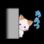 もふもふしっぽの子猫ちゃん　毎日使う言葉