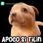 MEMES 