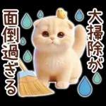 冬の猫のスコティッシュ【よく使う言葉】
