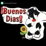 ¡ Buenas Noches !