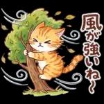 ずっと使える♪猫たちの日常