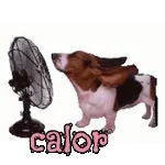 Refrescar o grupo