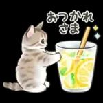 ふんわり可愛い☆猫たちのスタンプ