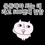 쩝쩝박사 꿀꾸리