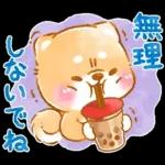 和菓子で敬語❤️いやしばいぬ❤️柴犬