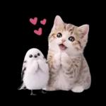 仲良し♡シマエナガと子猫ちゃん