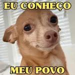 por mim voltei