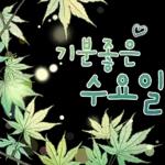 싱그러운 하루 메세지