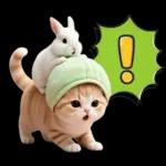 ずっと使える メロン帽が可愛い 猫とウサギ