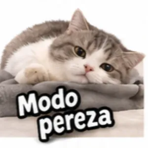 Modo pereza - getsticker.com