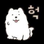 왕털뭉치 사모예드