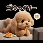 一年中使えることば集☆トイプードル