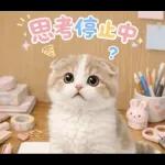 飛び出す♡やる気ないにゃんこ