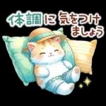 猫のつめあわせ【夏】