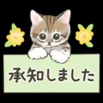 ふんわり可愛い☆猫たちのスタンプ