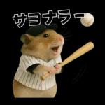 【新】リアル野球ハムスター