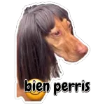 bien perris