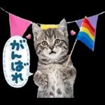 ねこちぃず♡梅雨〜初夏ver