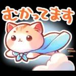 毎日♡猫ちゃんず【連絡・今何してる？】