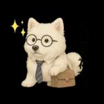 もふもふ【愛されサモエド】