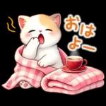 猫のつめあわせ【冬】