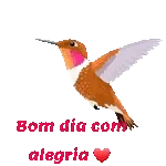 pacotes