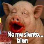 ¿Qué borraste?