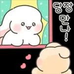 샤니의 반짝반짝 크리스마