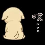 小拉拉 實用日常