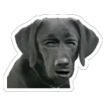 Licencia para robar Stickers