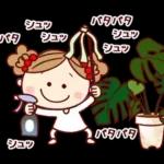 年賀状・冬の詰め合わせ！ ゆるもか８