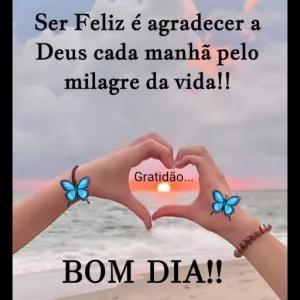 Ser Feliz é agradecer a Deus cada manhã pelo milagre da vida!! Gratidão... BOM DIA!! - getsticker.com